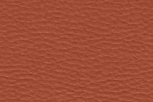DPCV-28 DPCV-28