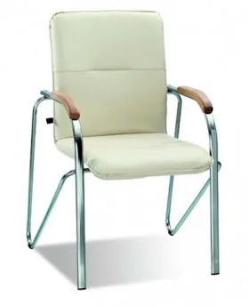 samba2-500x500