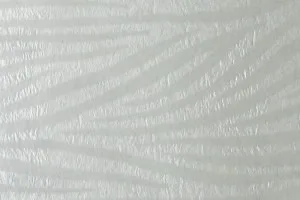 Зебра Зебра
